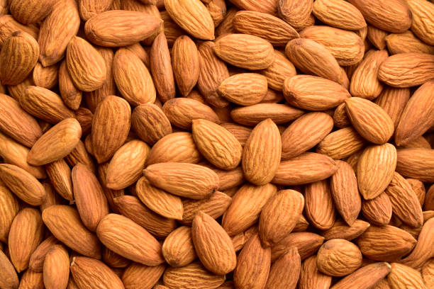 Siachen Organic Almonds – Pure Mountain Crunch