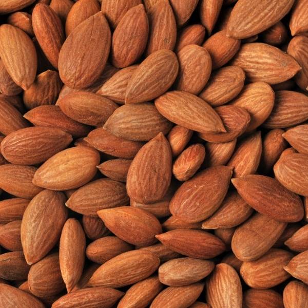 Siachen Organic Apricot Kernels – Nature’s Tiny Powerhouses